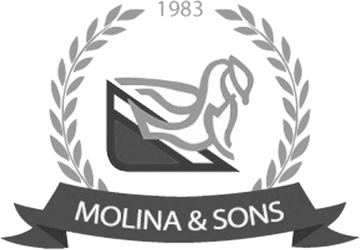 Molina & Sons
